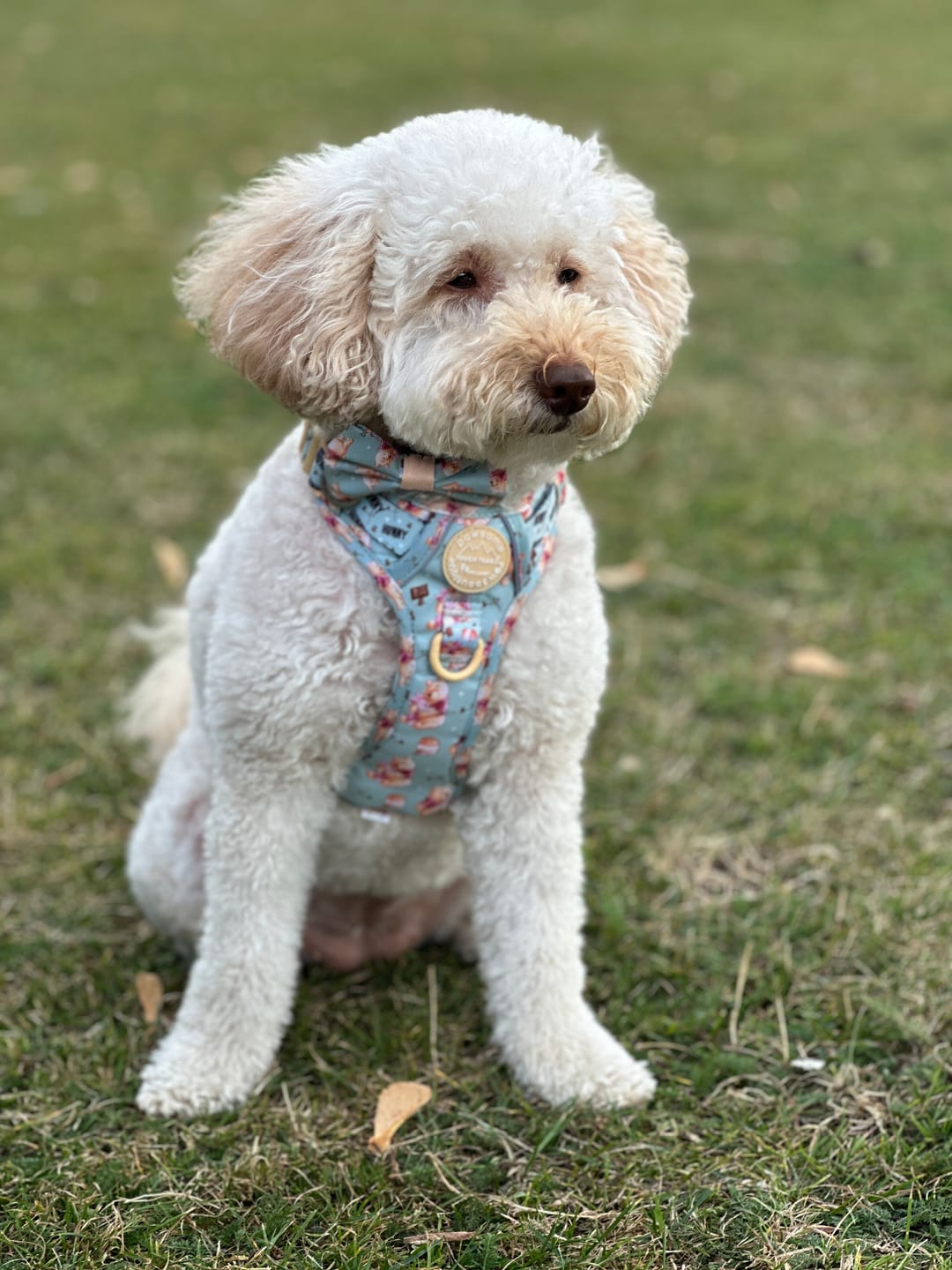 Customer photo review of Disney© Tough Trails™ Harness - Winnie The Pooh