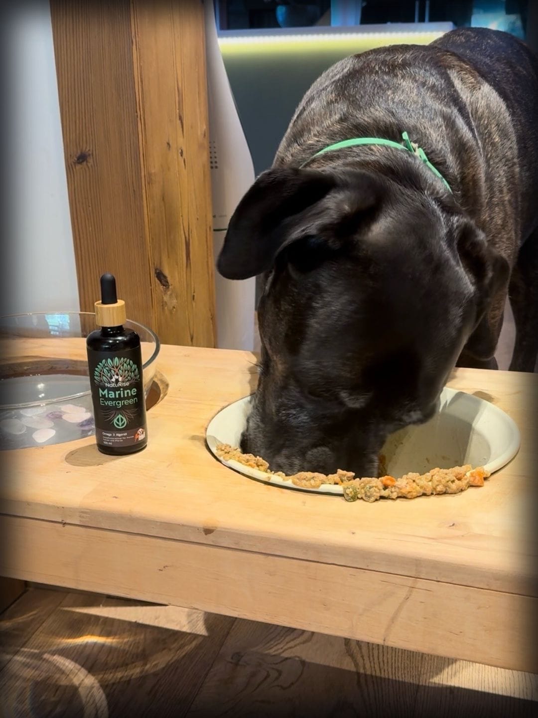 Customer photo review of Omega 3 Algenöl Haustiere