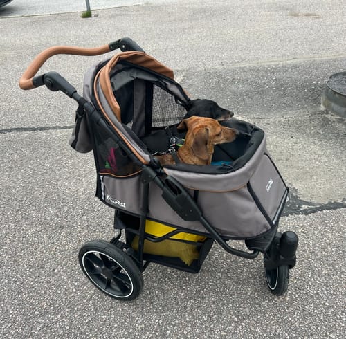 Customer photo review of Premium Cozy Air lemmikkirattaat