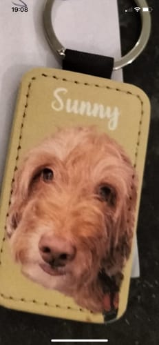 Customer photo review of Pet portrait - Personalised keychain