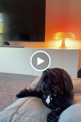 Customer video review of Puffball Lamp | Blood Orange