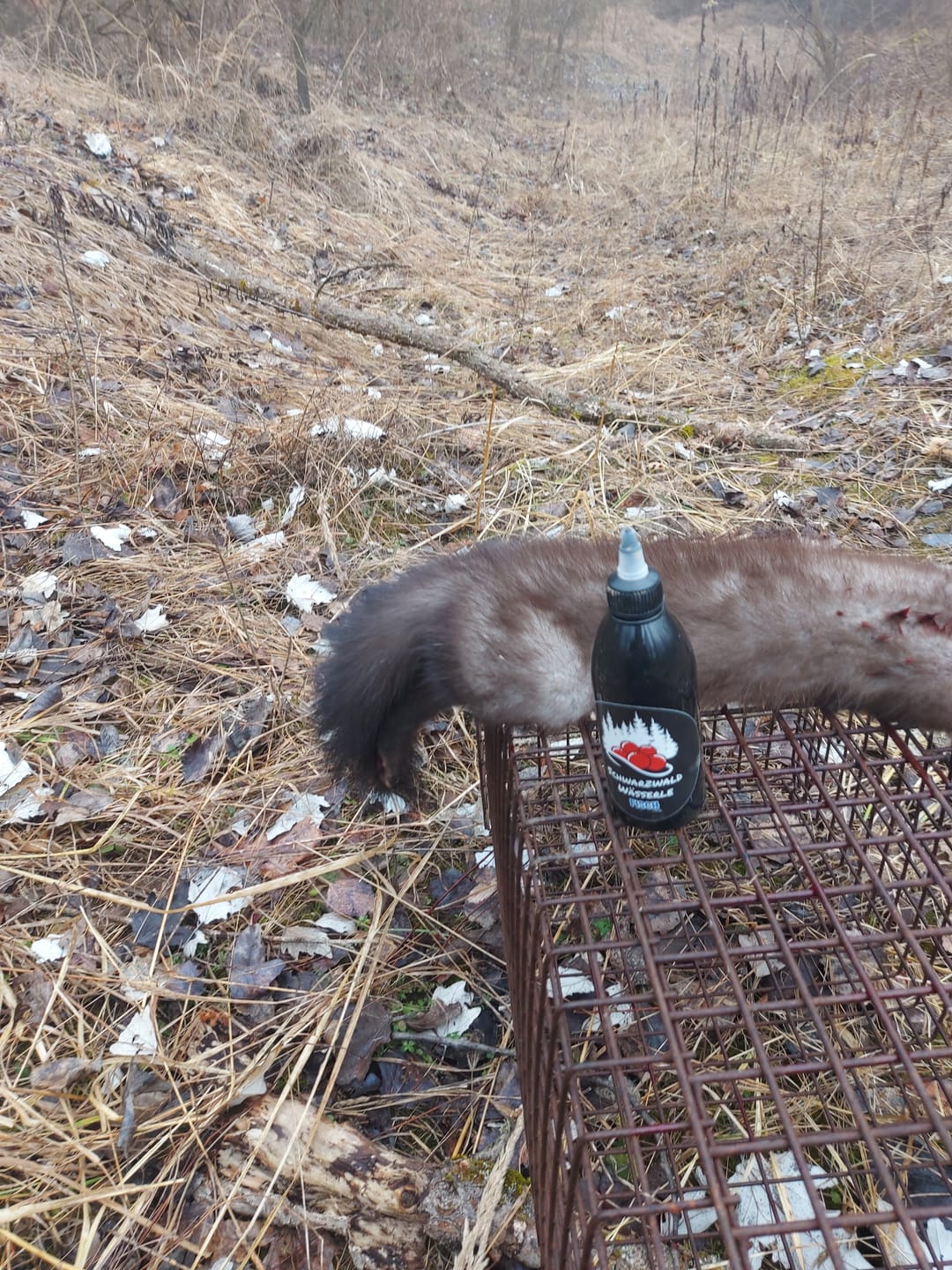 Customer photo review of Fisch Lockmittel - Schwarzwild und Raubwild