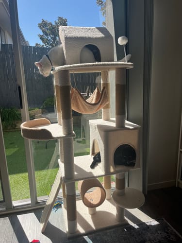 Customer photo review of Ona's Cottage Multi-Tier Cat Tree with Cat Scratching Posts
