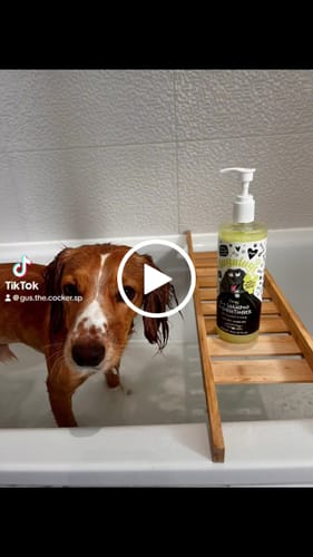 Customer video review of Zingy 2 in 1 Shampoo + Conditioner with Grapefruit & Orange