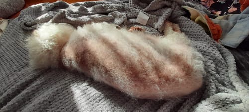 Customer photo review of Manuka Balm Distraction Treat Bundle