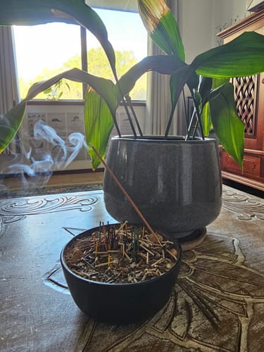 Customer photo review of Waves Incense Ritual Sticks - Ubud