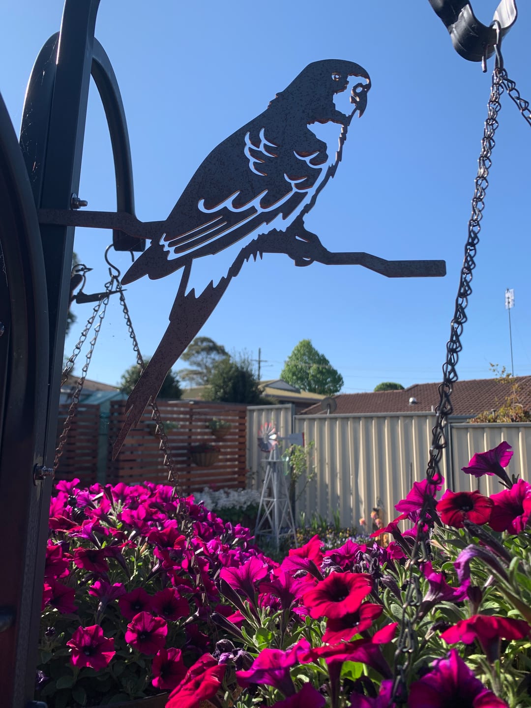 Customer photo review of Birdlife x Metalbird - Swift Parrot