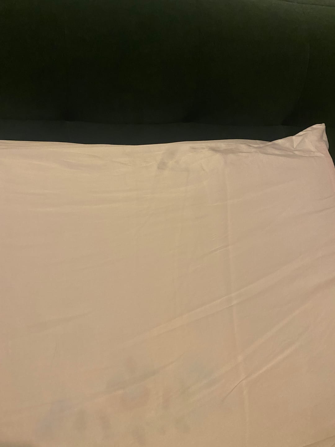 Customer photo review of Brilliant White Pure Silk Pillowcase