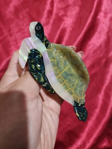 Customer photo review of Aquatic Claw Clip