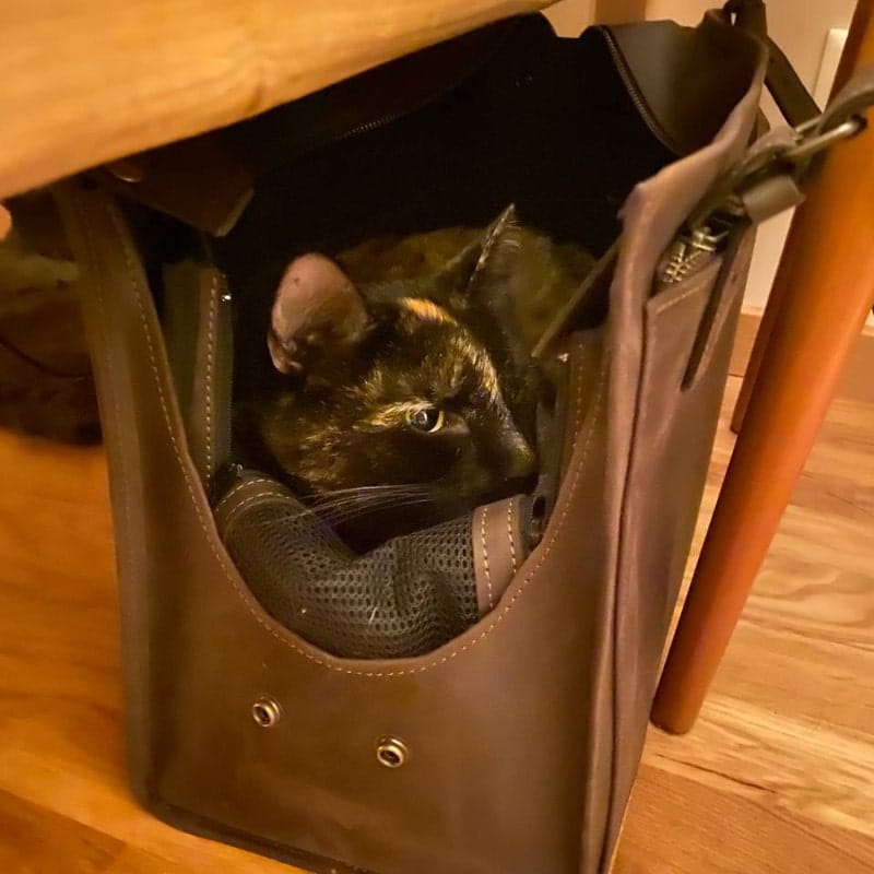 Customer photo review of Cat Carrier Tote Bag