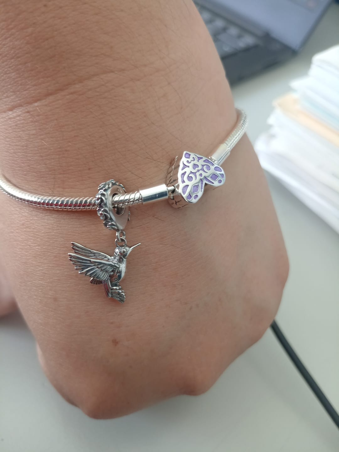 Customer photo review of Charm Colibri Mistico