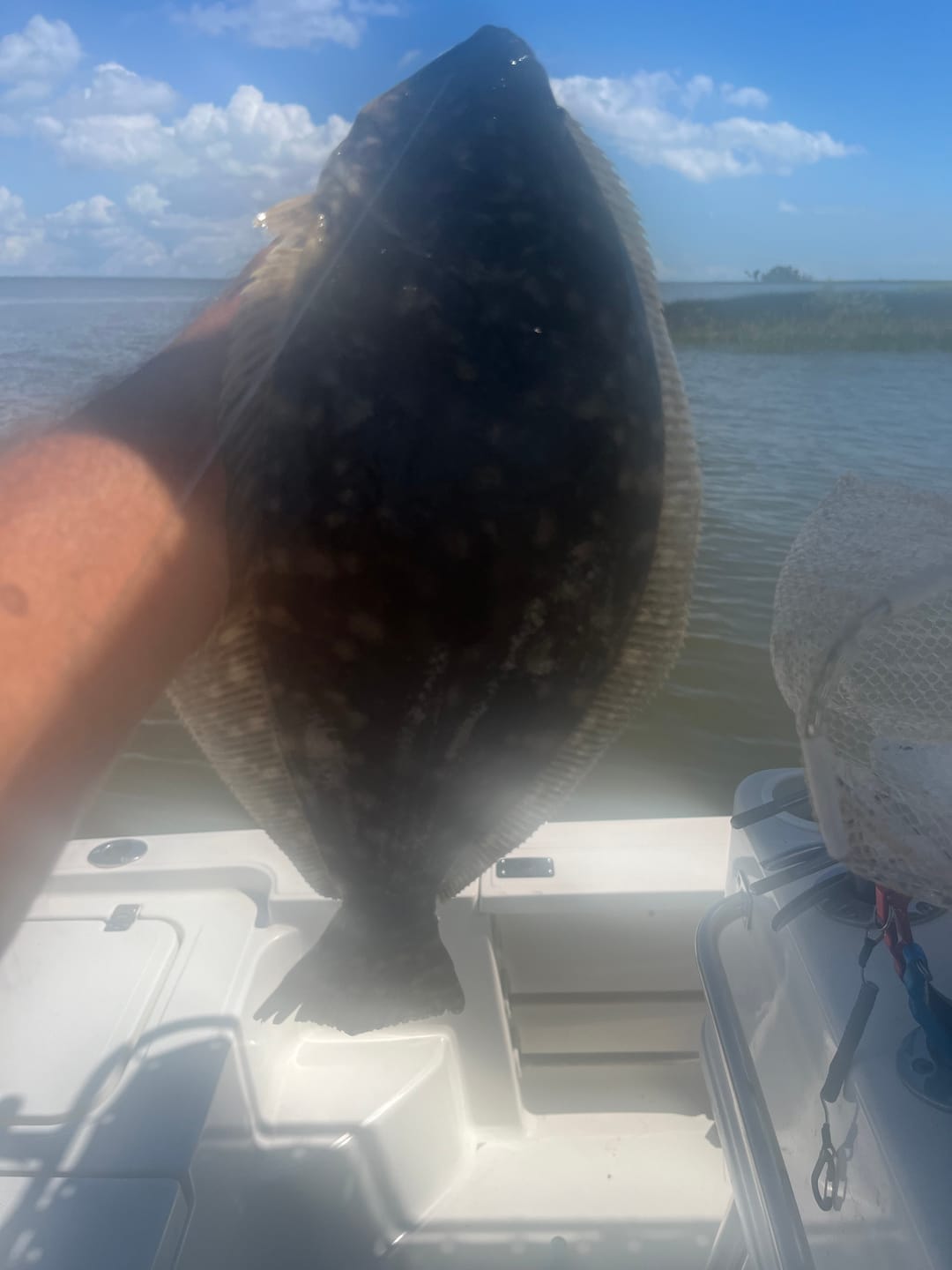 Customer photo review of Carbon Elite Nearshore Spinning Reels