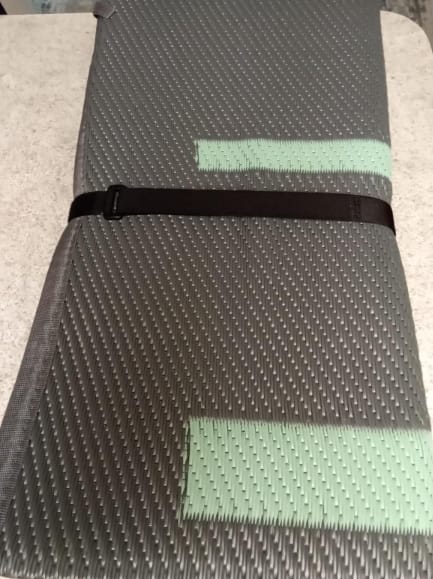 Customer photo review of Let's ROLL RV Rug – Designed for RV Adventures with Your Dog