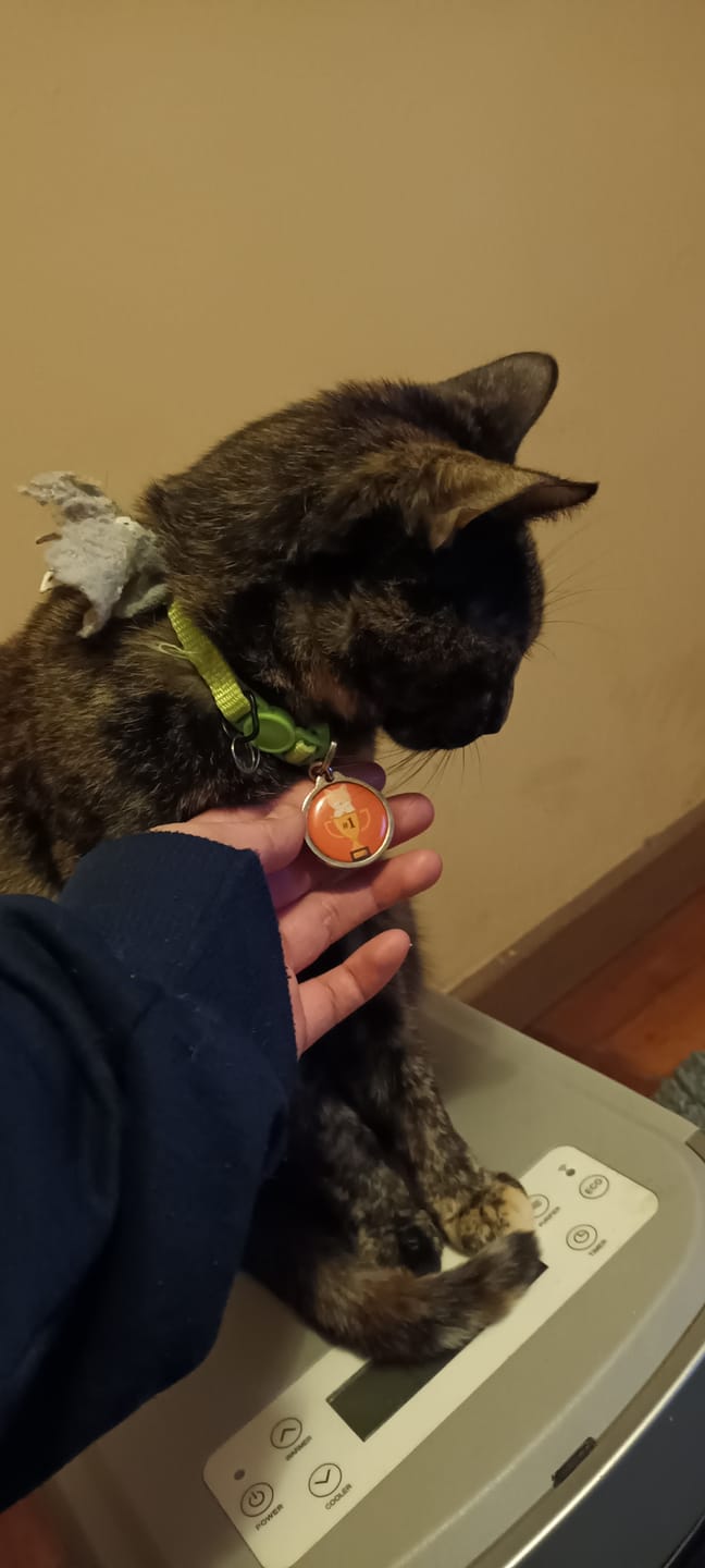 Customer photo review of Placa Gato #1