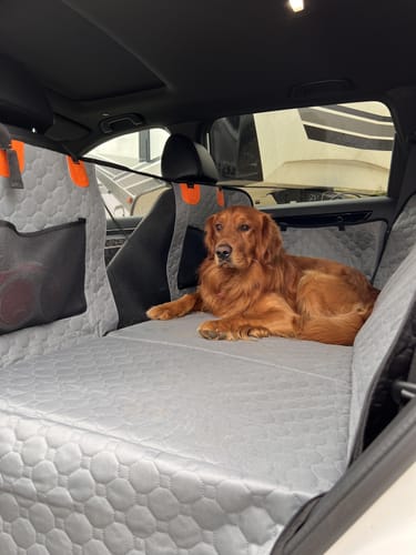 Customer photo review of Hard Bottom Seat Cover