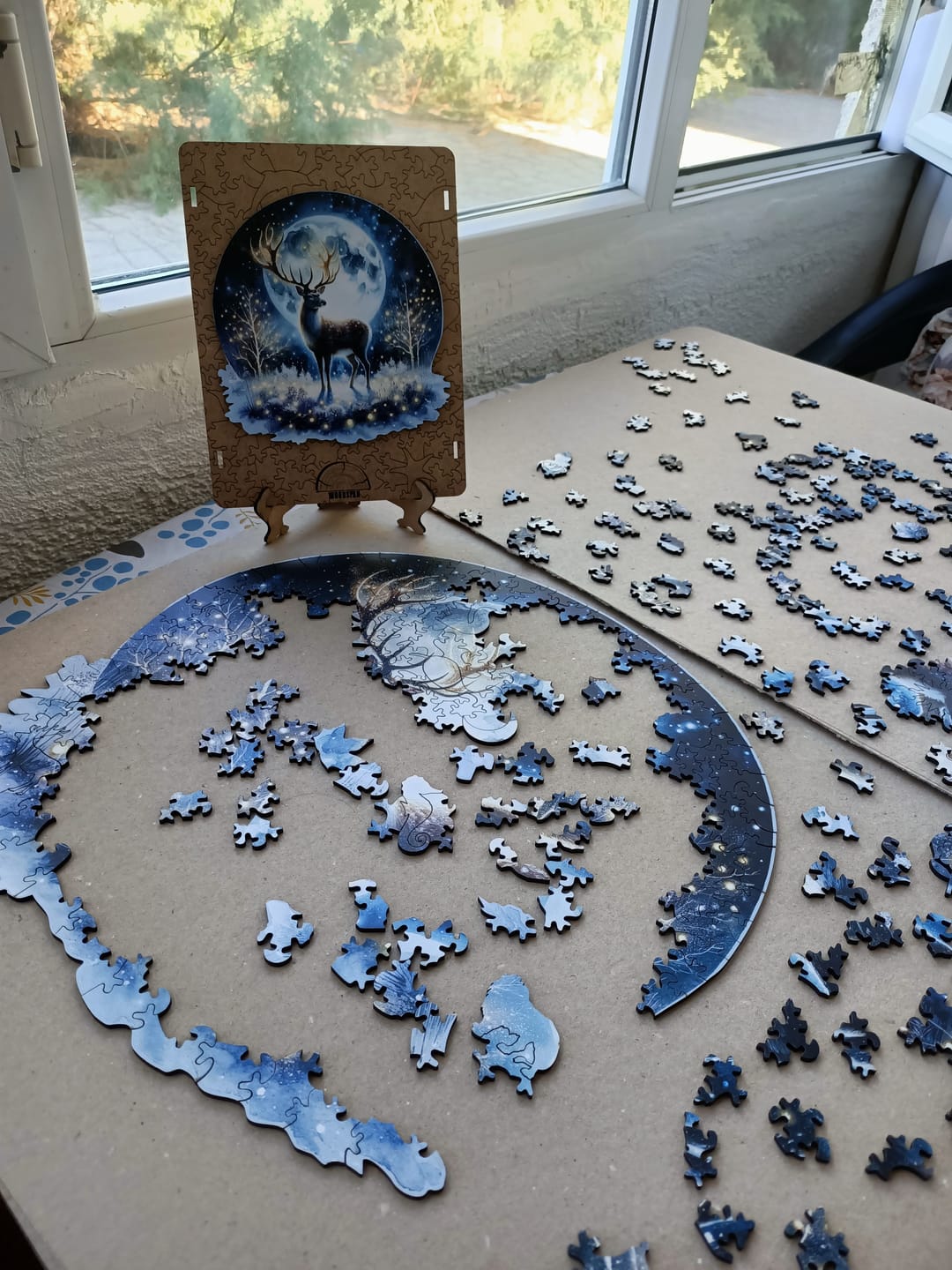 Customer photo review of The Aurora - Gecenin Işıltısı