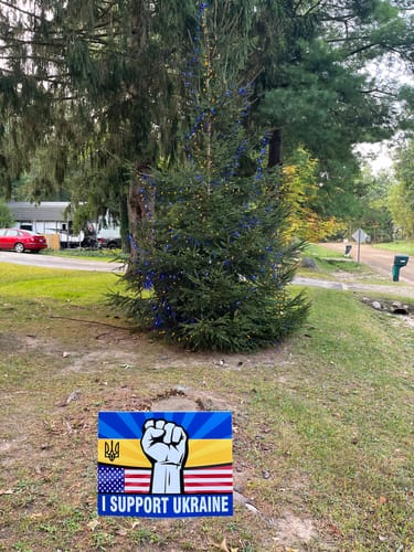 Customer photo review of I Support Ukraine Yard Sign