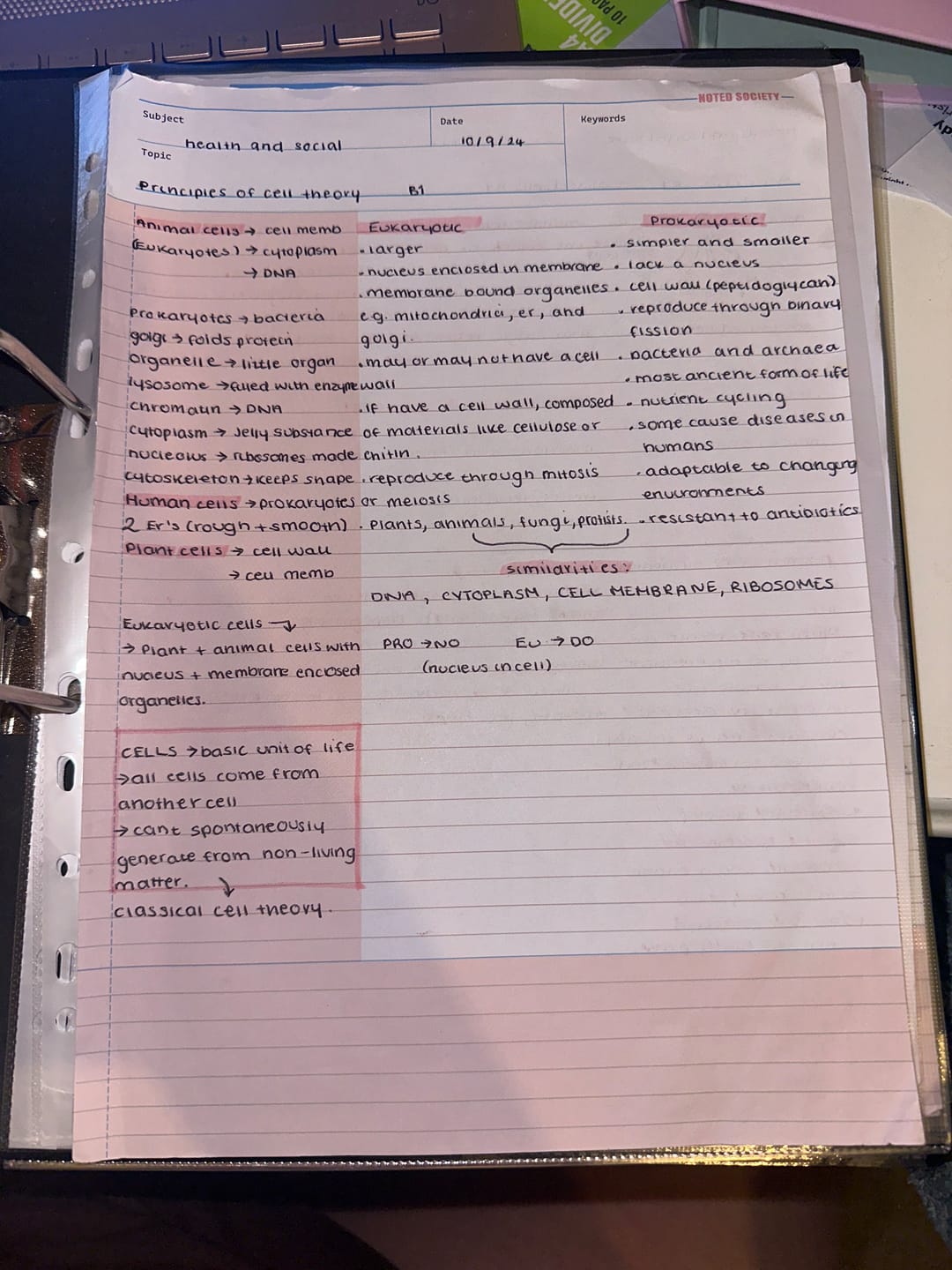Customer photo review of Cornell Notes Notepad