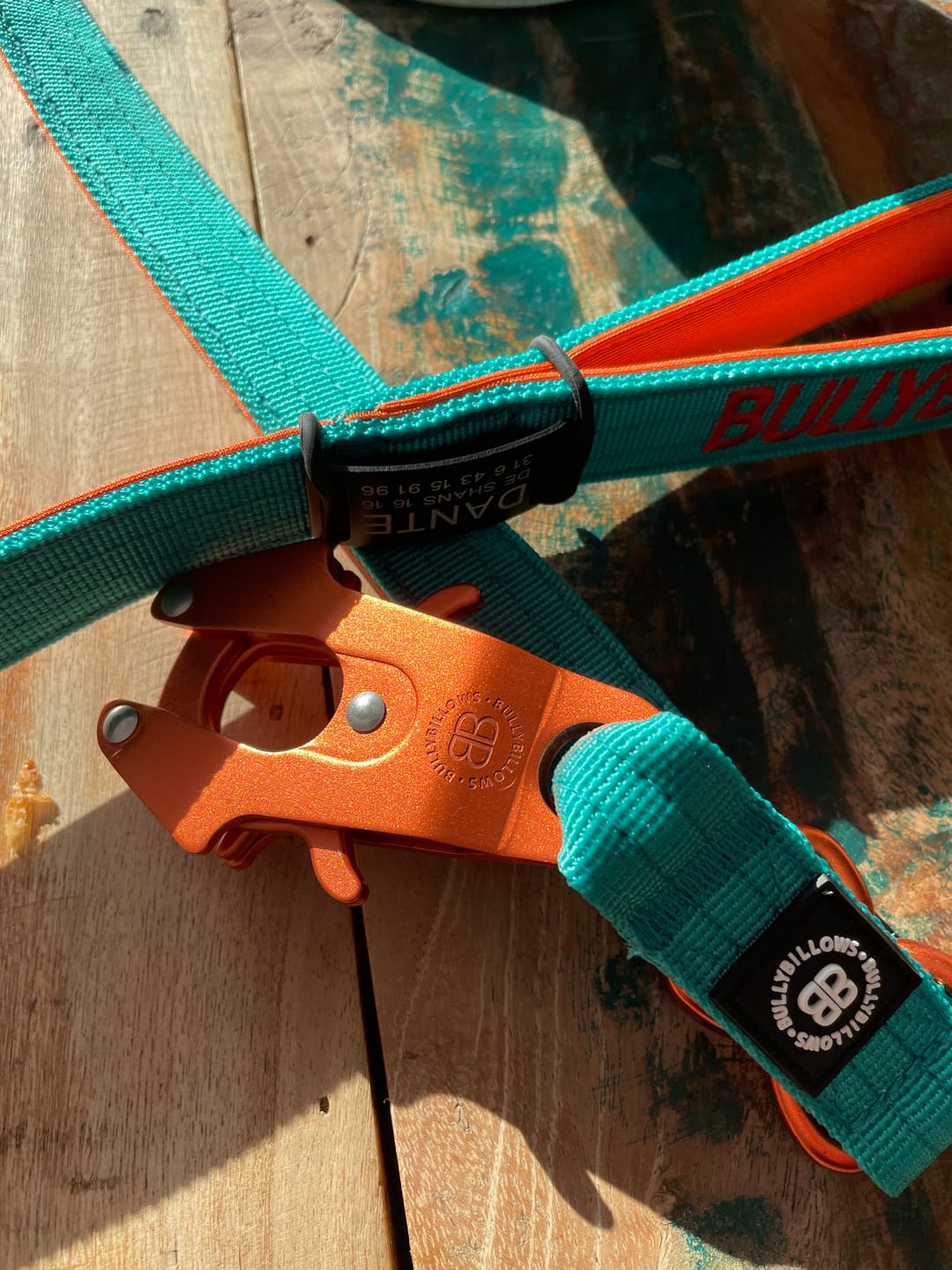 Customer photo review of 1.4m LIGHTER Swivel Combat Lead | Neoprene Lined, Secure Rated Clip with Soft Handle - Turquoise & Orange