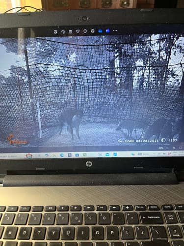 Customer photo review of Pig Brig Trap System