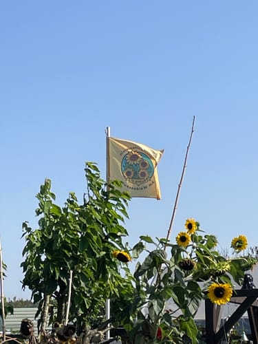 Customer photo review of Fahne inkl. Druck