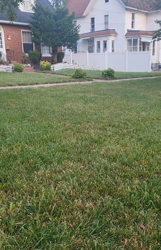 Customer photo review of Headway G Granular Fungicide - 30 Pound