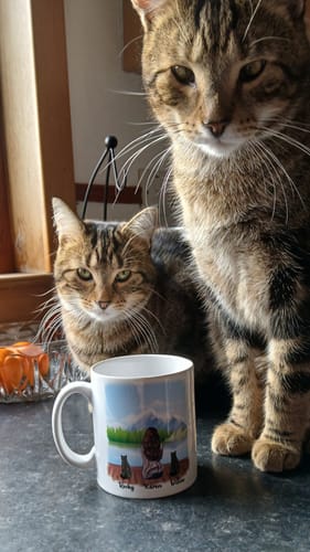 Customer photo review of Woman & Cats Mug - Life is better with a Cat -Personalised Mug