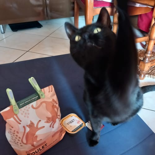 Avis photo d'un client sur Croquettes Chat Stérilisé Sans Céréales - Poulet