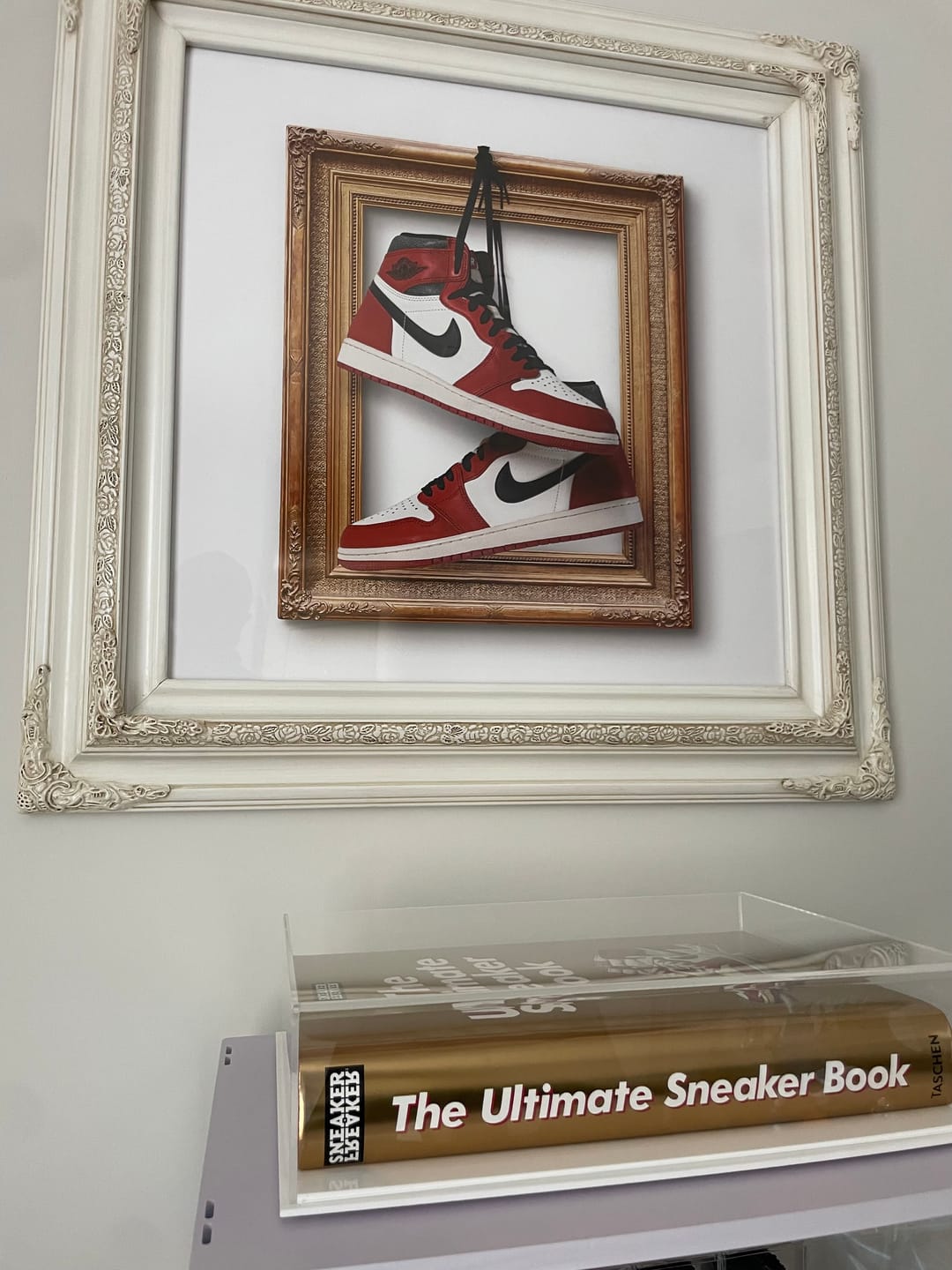 Customer photo review of Acrylic Double Sheet Book Display Cases
