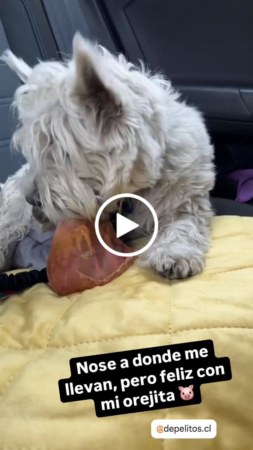 Customer video review of Lomo de cerdo