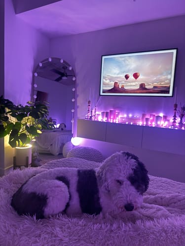 Customer photo review of Aura Blüme Light