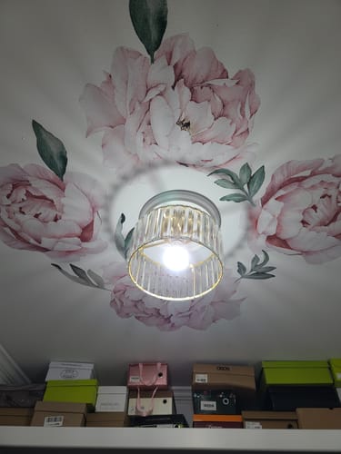 Customer photo review of Peony Wallstickers