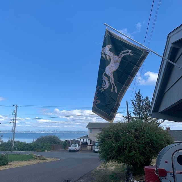 Customer photo review of LOTR Rohan Horse Flag