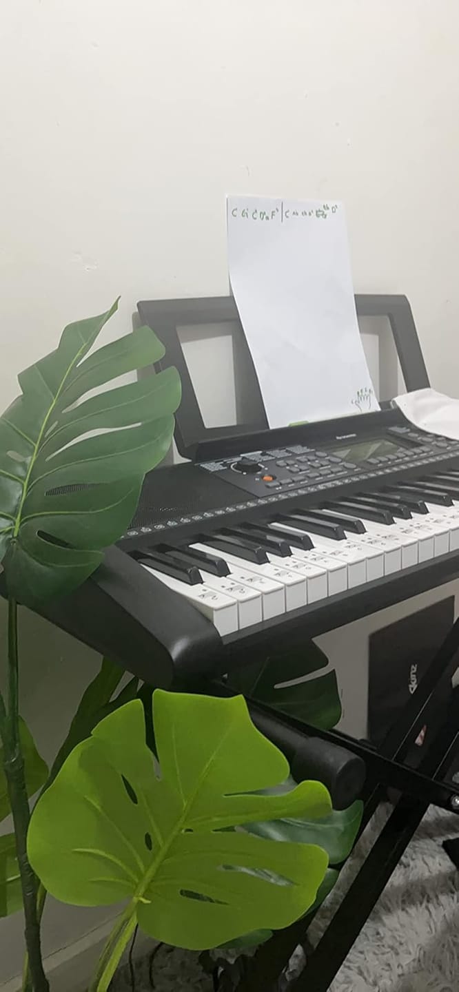 Customer photo review of Donner DP-10 Piano Électroniques Clavier portable pliable