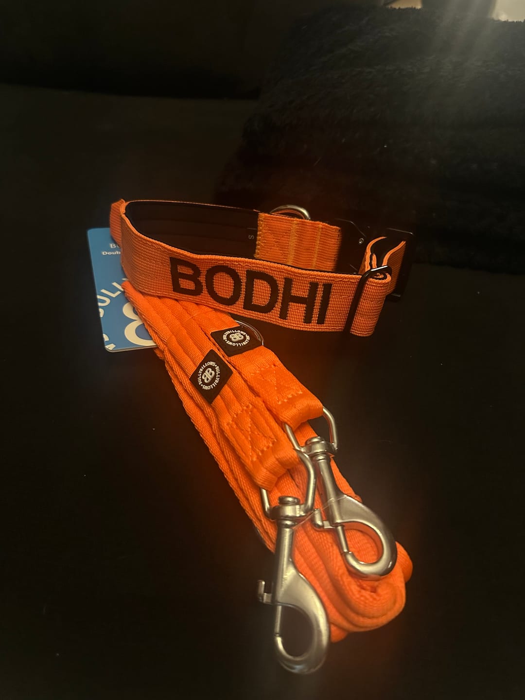 Customer photo review of 4cm Combat® Collar | With Handle & Rated Clip - Orange v2.0