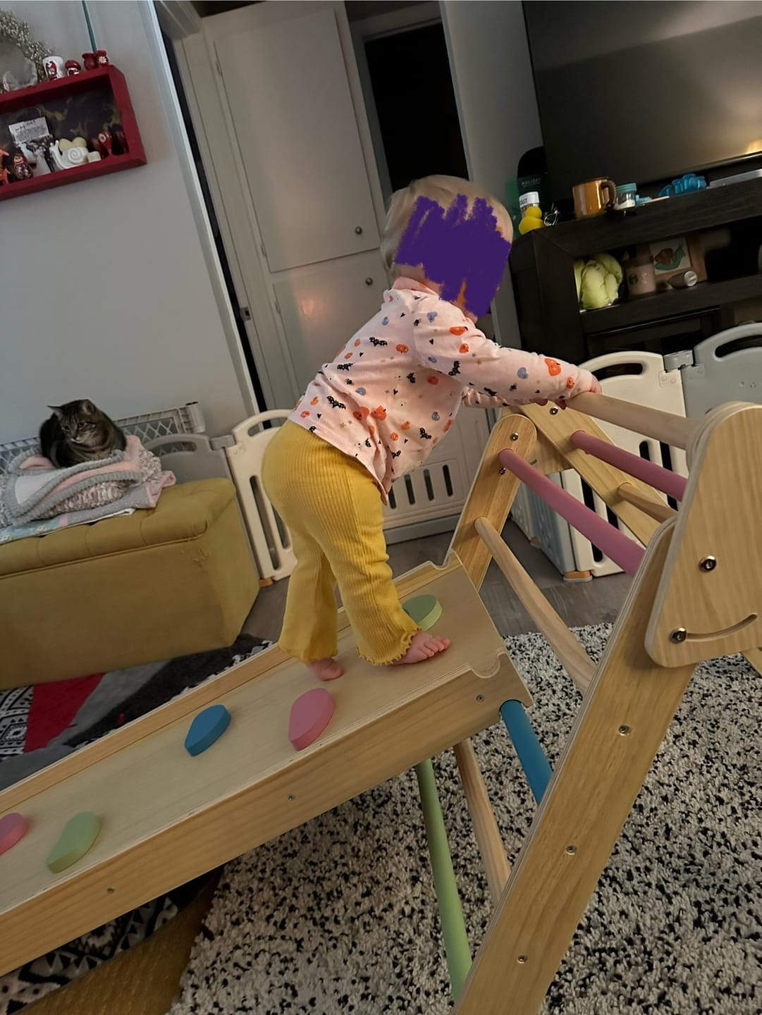 Customer photo review of Hazel - Pikler Triangle Ladder & Rocker Set