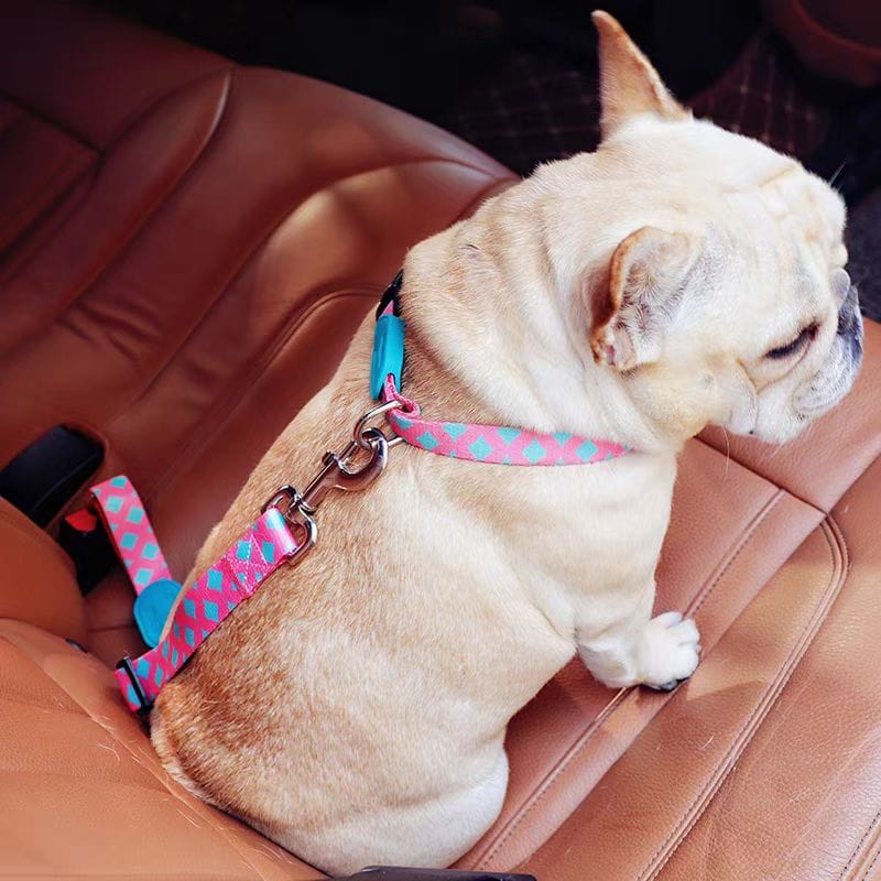Customer photo review of Colorful Car Seat Belt Pet Leash