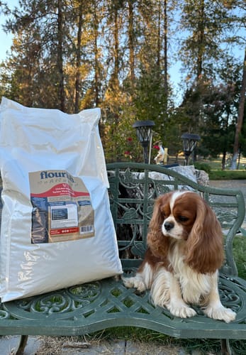 Customer photo review of Buy 1 Bag  - 33 lbs