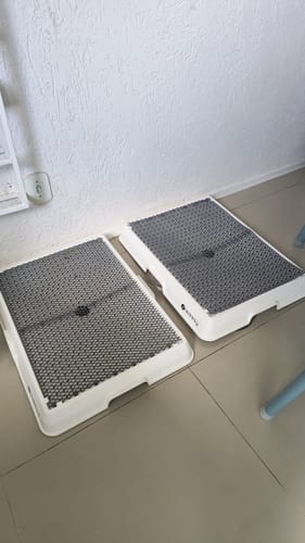 Customer photo review of Weasy Cão