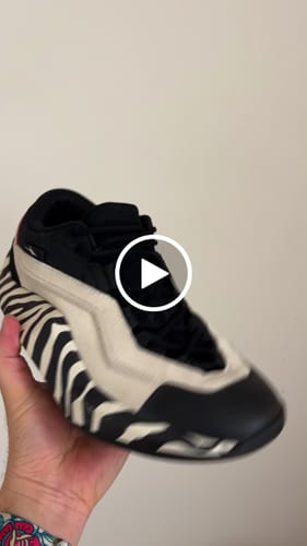 Customer video review of Ranger1 Zebra
