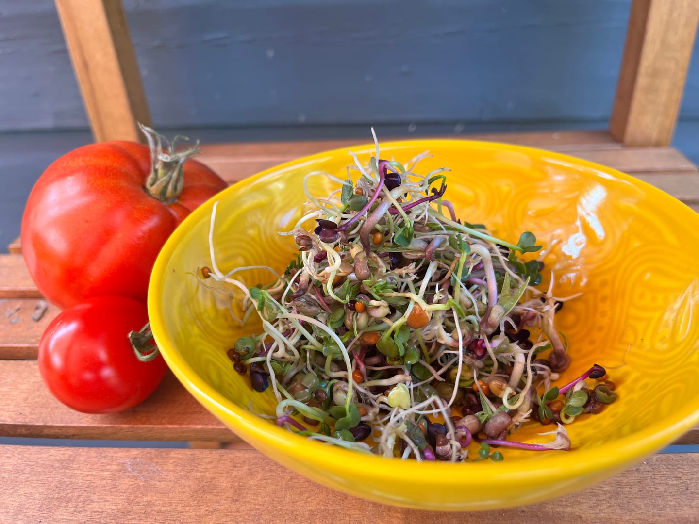 Customer photo review of Sprossenmix "Salat"