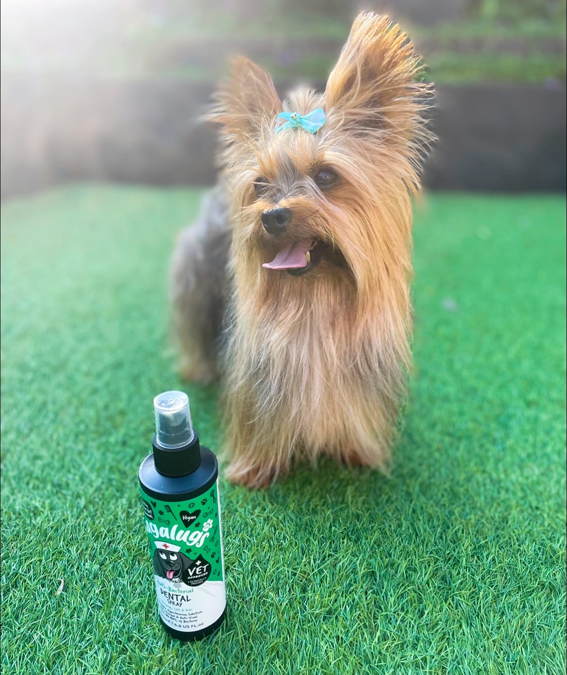 Customer photo review of Anti-Bacterial Dental Spray for Dogs, Cats & Pets