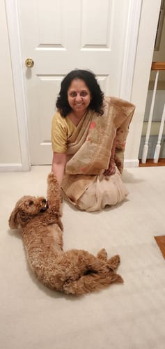 Customer photo review of Beige Brown Zari Woven Linen Silk Saree
