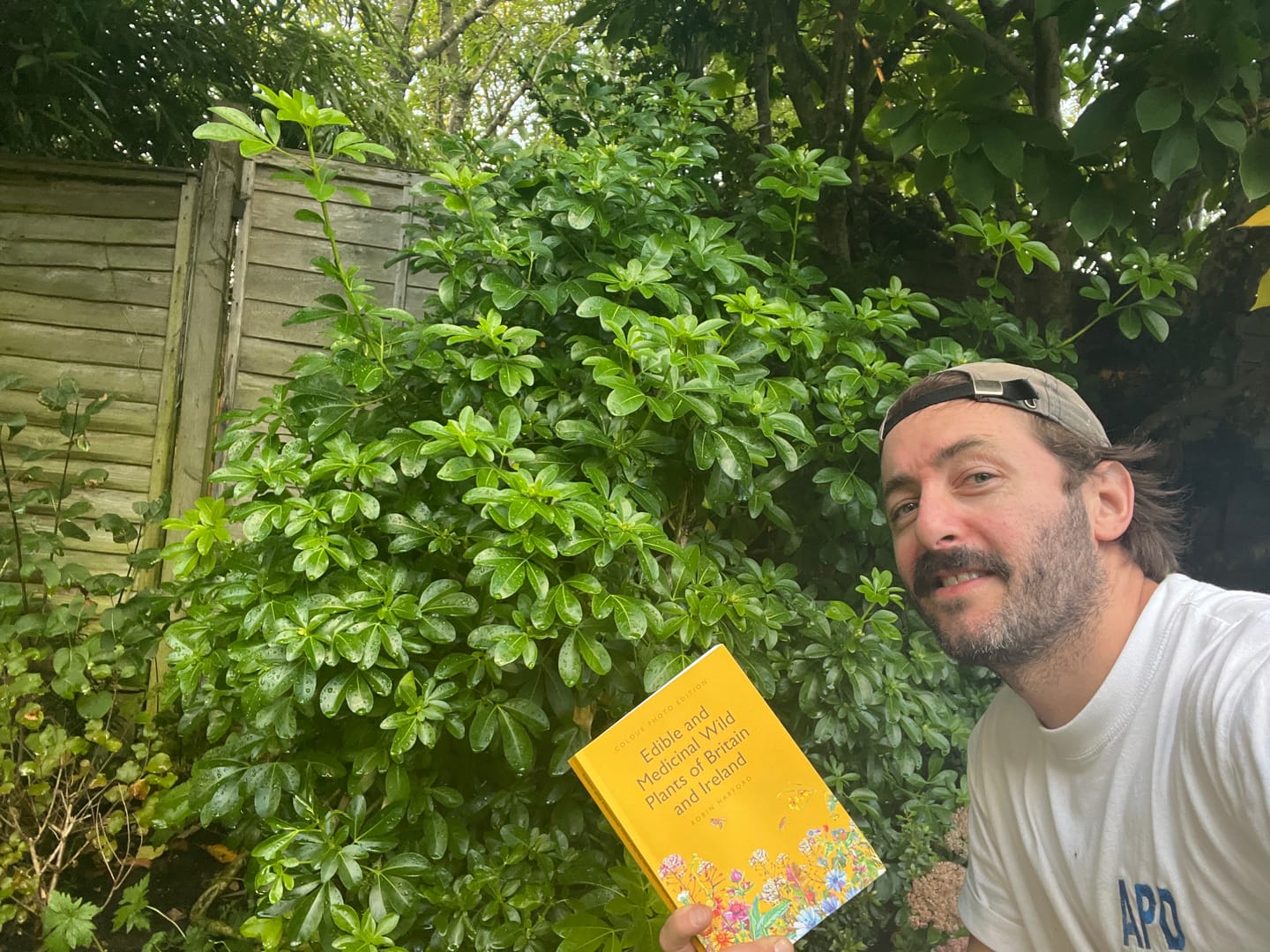 Customer photo review of Edible and Medicinal Wild Plants of Britain and Ireland