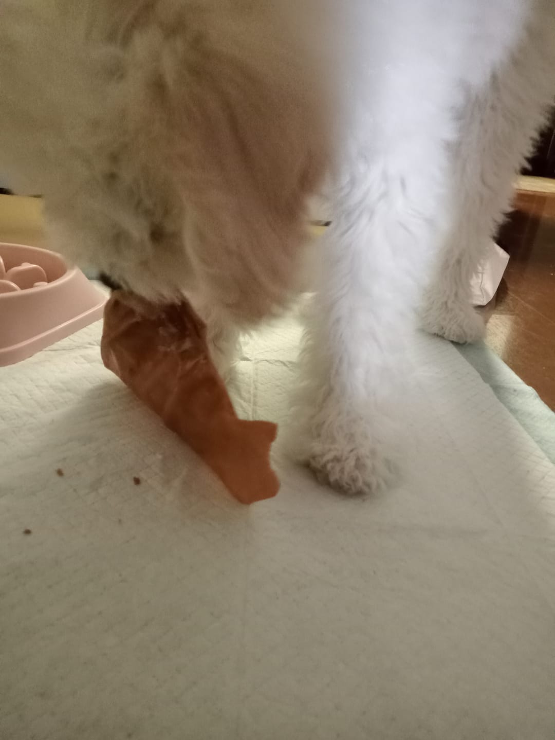 Customer photo review of Patas de pollo