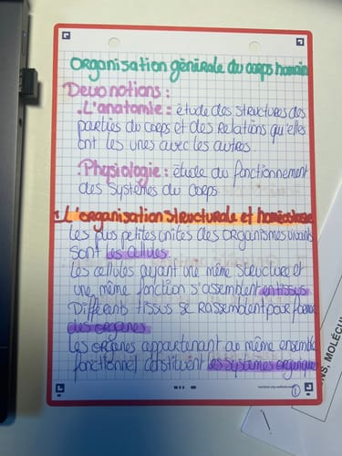 Avis photo d'un client sur Fiches de révision REVISION 2.0 OXFORD # 50 fiches 14,8 x 21 cm - petits carreaux