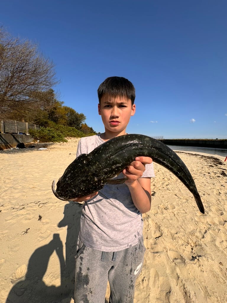 Customer photo review of 2.25 INCH (GUPPIE)