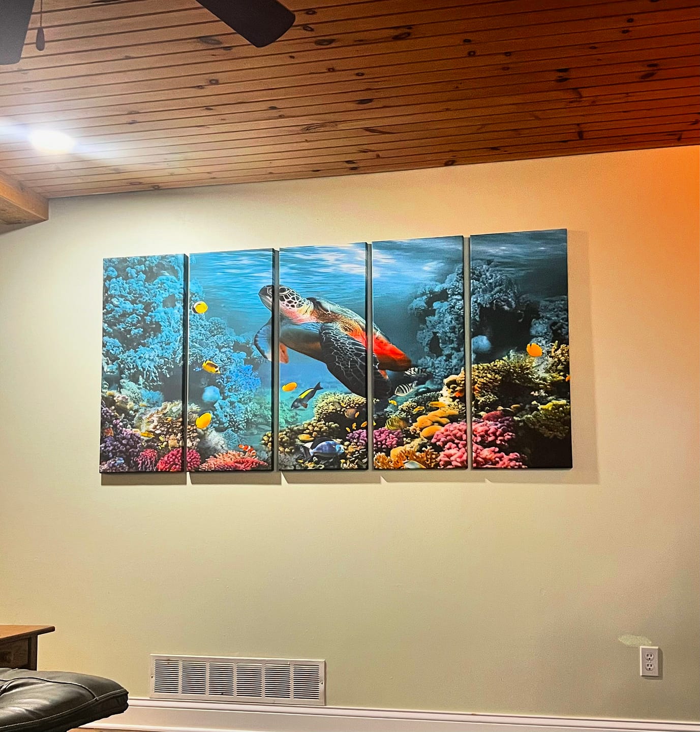 Customer photo review of Ocean Turtle Wall Art Canvas Print