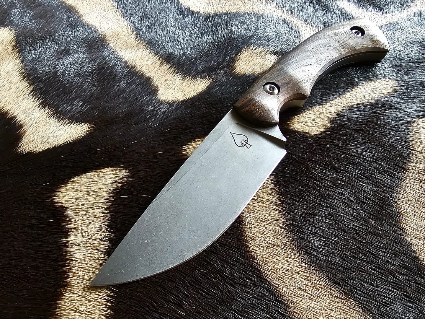 Customer photo review of The Mosebey Blade