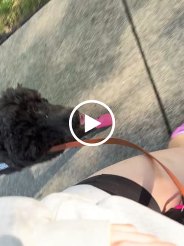 Customer video review of WagWellies® Mojave